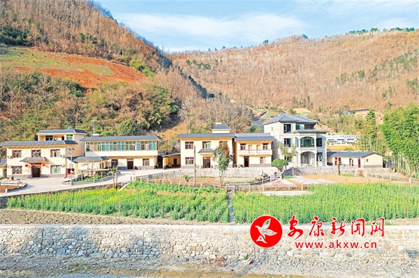 美丽庭院新风来——岚皋县推进和美庭院建设和人居环境整治侧记 - 安康新闻网(图2)